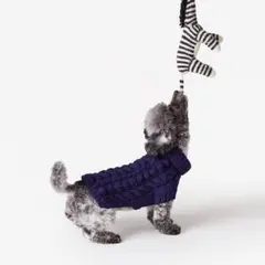 Item thumbnail for item cc934e26-2096-4ac5-9c62-686dfc80f647