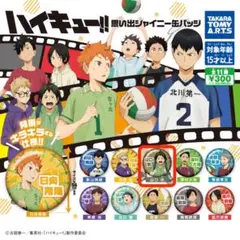 【未使用】山口 忠 ハイキュー!! 思い出シャイニー缶バッジ