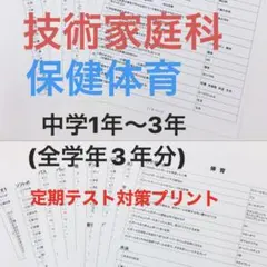 中学　実技教科　技術家庭科　保健体育　セットのサムネイル