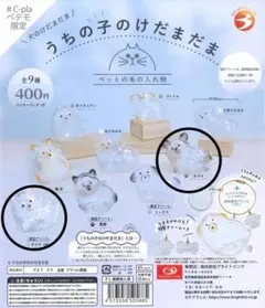 うちの子のけだまだま　犬　チワワ　白　黒　2種