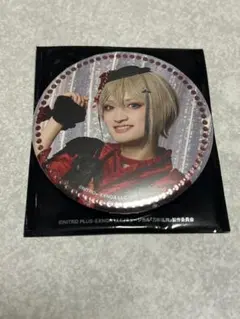 ミュージカル刀剣乱舞 目出度歌誉花舞 十周年祝賀祭 缶バッジ 日向正宗