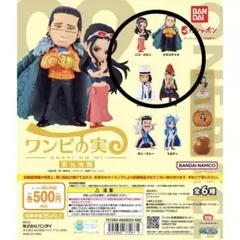 ワンピの実 第九海戦