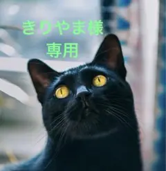 専用ページ