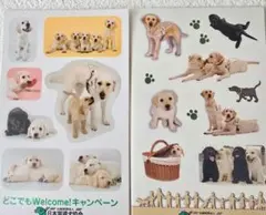 Item thumbnail for item bf9f8b41-0cd8-4ef0-89ac-cbfd59dc5a3f