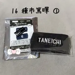 千葉ロッテマリーンズ　１６種市篤暉　リストバンド①