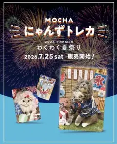 猫カフェ mocha 夏 トレカ 池袋本店 - メルカリ