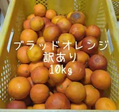 【マカロン様専用】79愛媛県産 ブラッドオレンジ タロッコ 訳あり ５㎏