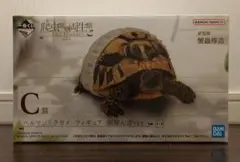 maron様 リクエスト 2点 まとめ商品