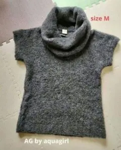 Item thumbnail for item ad1d4a69-a041-487a-a2db-9fb9210f5296