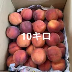 27早生ワッサー家庭用10キロのサムネイル