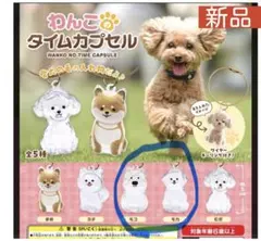 わんこのタイムカプセルもこ もか