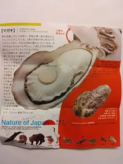 清*川様 【マガキ】Nature of Japan 日本のいきもの01 新品未開