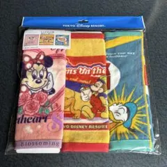 【新品未使用】ディズニーリゾート　ドリームオンザゴー　ミニタオル　3枚セット