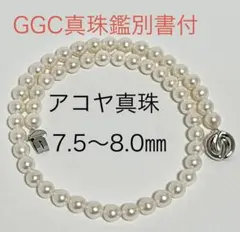 Item thumbnail for item 03185192-f3ac-4f9d-9a36-8dd64781b7bc