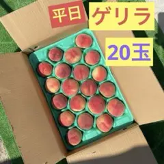 ga88山梨県産　桃　朝採り　桃　家庭用　夢みずき　あかつき　5キロ箱　　20玉のサムネイル