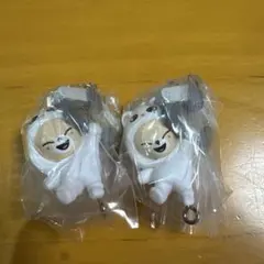 スキズ SKZOO つまんでつなげてますこっとvol.2 フォクシニー