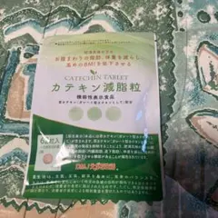 カテキン減脂粒 62粒入り×1袋（新品未使用）のサムネイル