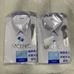 Item thumbnail for item 6b923bf5-e66e-4c4f-a3d4-8ea36bbd24d4