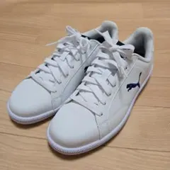 Item thumbnail for item 3ce57e95-4f77-4e18-9afc-0033880b4c46