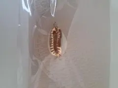 アリシアスタンのサムネイル
