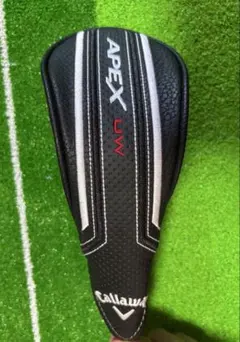 Item thumbnail for item 0be2731a-1259-4563-a739-ecc9a0b0bb58