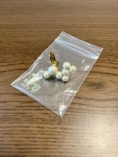 Item thumbnail for item 08d87188-0639-4168-a900-2850431d280d