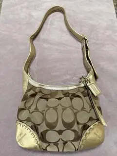 Vintage Coach Ergo Signature Hobo Bag