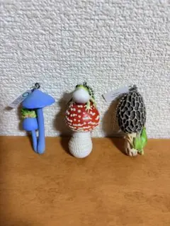 キノコとアマガエルネイチャーテクニカラー