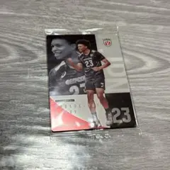 バレーボール 日本代表 エバデダン・ラリー ツインウエハース2026