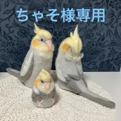 リクエストNO.2532☆オカメインコ ☆3点セット