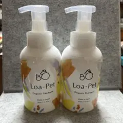 Item thumbnail for item 06926dff-a53b-4044-bc74-83e67b0de509