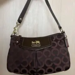 コーチ アクセサリーポーチ ハンドバッグ シルバー レオパード 43322 