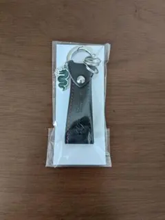 Item thumbnail for item 393af429-45d5-4982-aba9-7036768a2a60