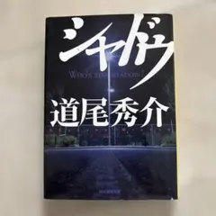 シャドウ Who's the shadow?