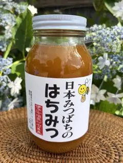 ハチミツ 日本蜜蜂の蜂蜜 花粉入りはちみつ 奥山の奥 叔父専用 - メルカリ