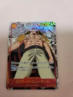 2026年最新】ONE PIECE キャラクター名：エドワード ニューゲート