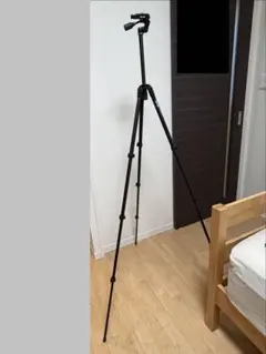 Item thumbnail for item cc621a39-7e10-404d-b9a2-e11c2cda8fd1