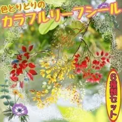 ♥匿名配送♥ カラフルリーフシール 花 コラージュ素材 おすそ分け まとめ売り