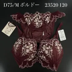 ボルドー　D75/M ナルエー　ブラショーツセット　23520 120のサムネイル