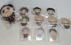 ハイキュー 　セガラッキーくじ 　ぬいぐるみ　クリアスタンド　缶バ　11点セット