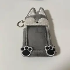 オオカミトレカケース　韓国トレカケース