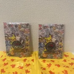 ロゴピンズ ポケモンセンター トーキョウDX限定 10セット ロゴピンズ ポケモンセンター トーキョウDX限定 10セット 限定