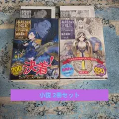 即購入️⭕️本好きの下剋上 : 女神の化身 第5部 IⅩ Ⅹ 2冊セットのサムネイル