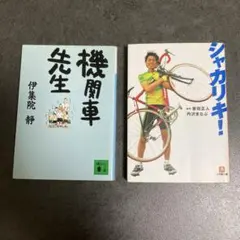 Item thumbnail for item 9a643796-7c57-4460-b562-0a5ec7aadbcd