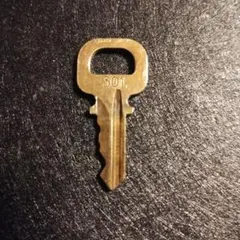 ルイヴィトン キーのみ 301 1本 パドロック 南京錠 カデナ