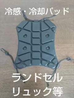 Item thumbnail for item 961a9883-9eae-4325-bf61-c762065c135b