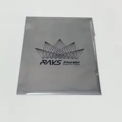 SnowMan 目黒蓮　チケット風カード　RAYS