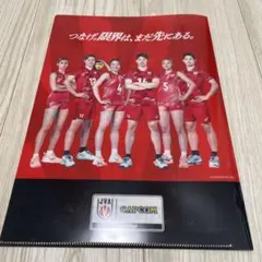 全日本男子・女子バレー選手直筆サイン入クリアファイル 全日本男子・女子バレー選手直筆サイン入クリアファイル - メルカリ