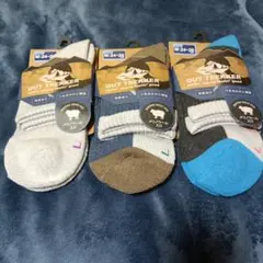 Item thumbnail for item b08ab0af-651d-4d6a-be4b-16f7bab33082