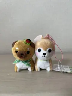 豆しば三兄弟　ハッピークローバー　豆三郎　小梅
